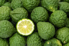 Image of Bergamot fruit